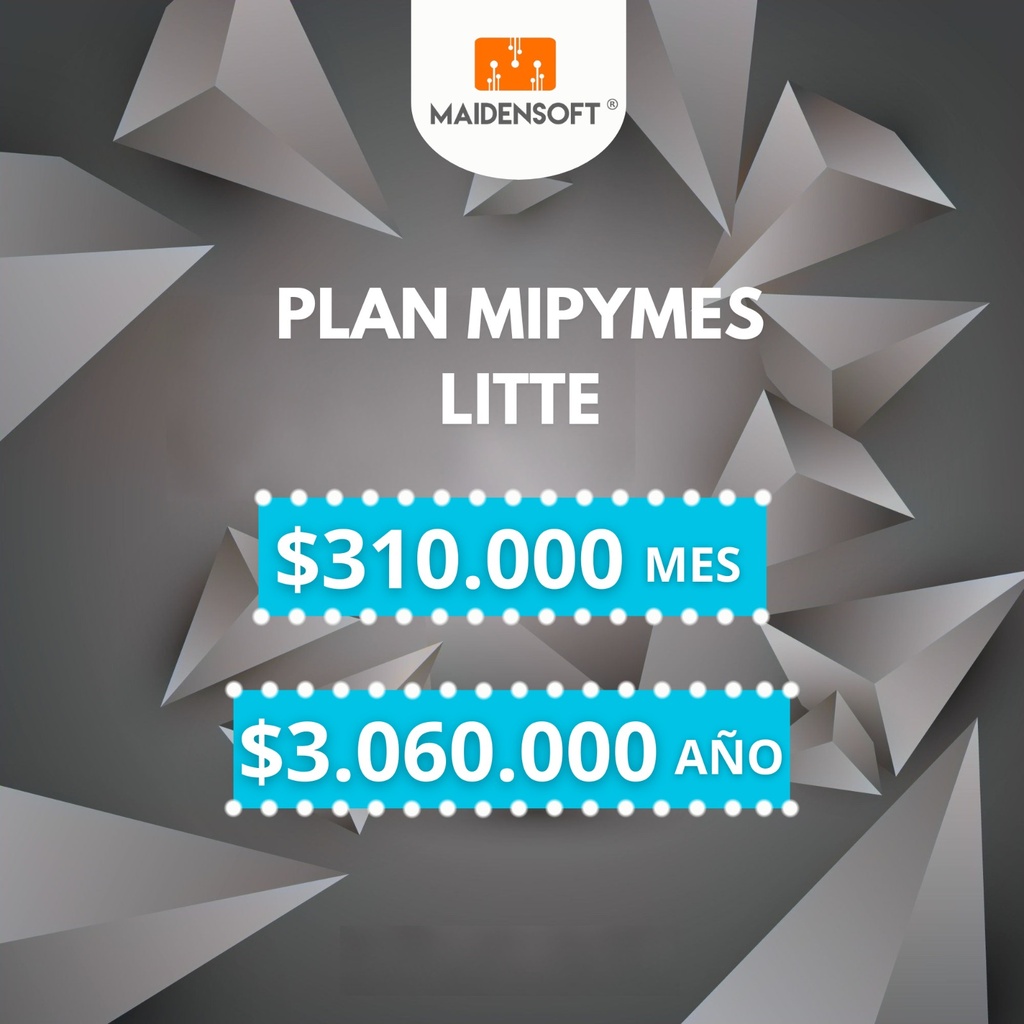 MaidenSoft ERP MiPymes Litte Año